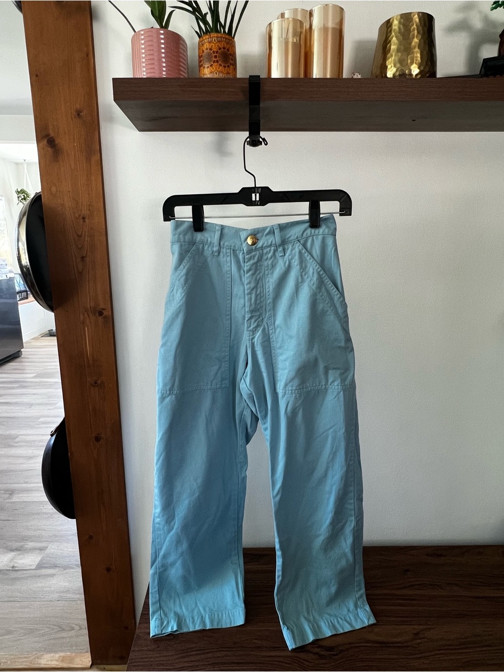 Big Bud Press Light Blue Workpants